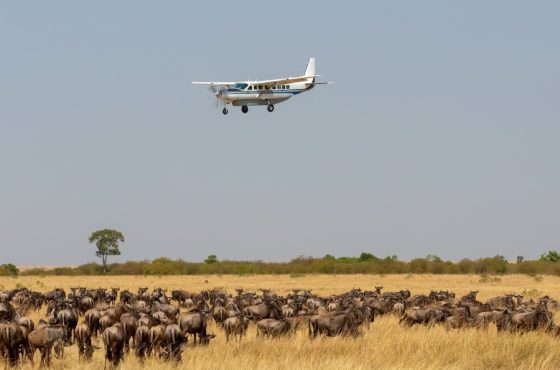 2 Days Masai Mara Flying Safari