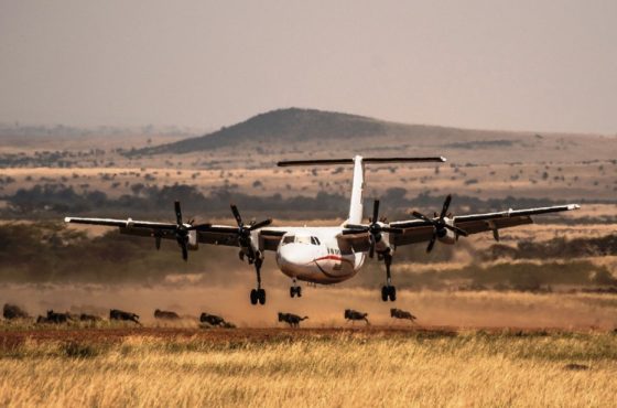 3 Days Masai Mara National Reserve Flying Safari