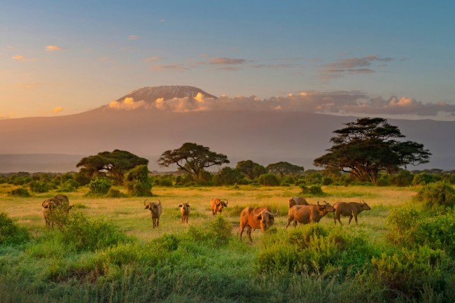 Amboseli
