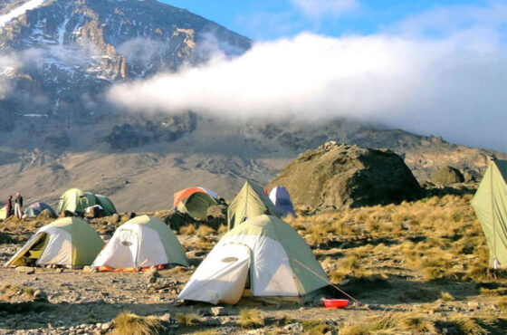 8 Days Mt Kilimanjaro Climbing: Shira Route