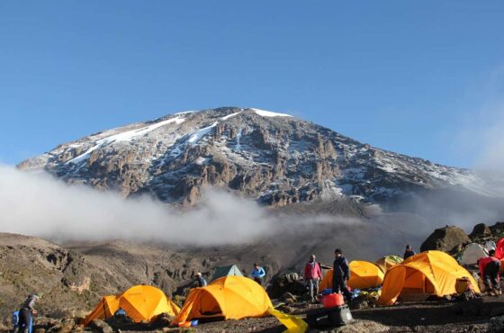 10 Days Mt Kilimanjaro Climbing: Lemosho Route
