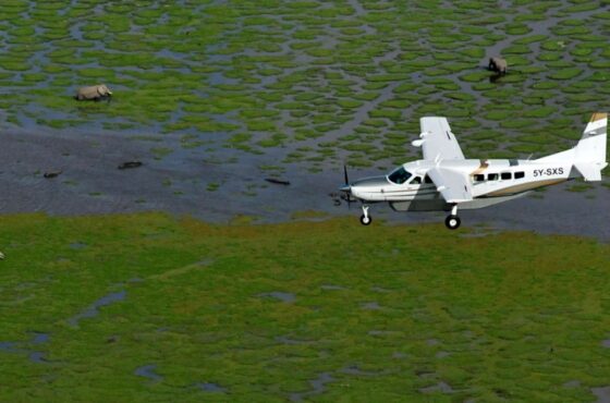 5 Days Amboseli & Masai Mara Classic Kenya Flying Safari