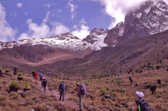 5 Days Mt kenya Trekking: Sirimon – Chogoria Traverse