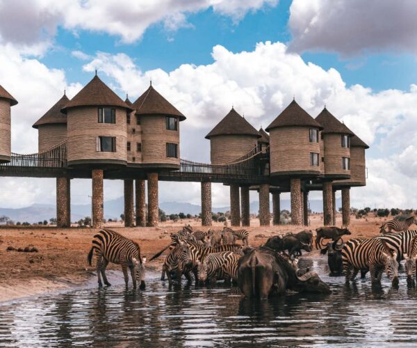 4 Days Tsavo East, Amboseli & Saltlick Safari Adventure