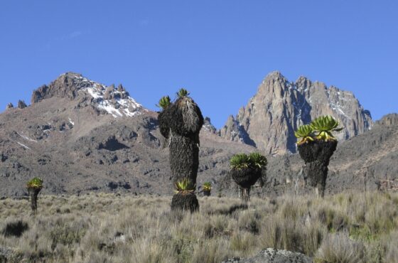 6 Days Hiking Mt Kenya: Chogoria – Sirimon Route