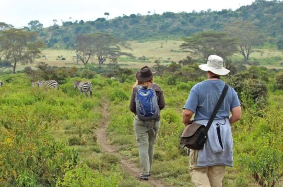 Mt Longonot Hiking & Trekking Day Trip