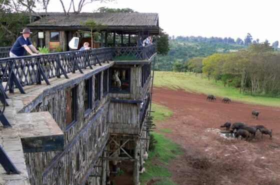 10 Days Bush & Beach: Aberdares, Sweetwaters, Lake Naivasha, Amboseli, Taita Hills & Malindi Beach