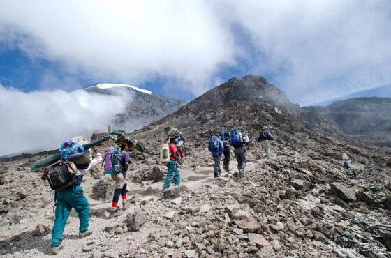 8 Days Mt Kilimanjaro Climbing: Rongai Route